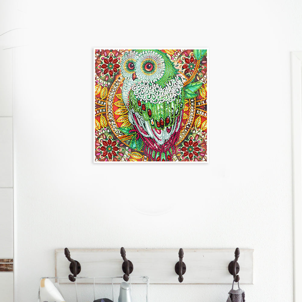 Owl - Special Shaped Drill Diamond Painting 30*30CM