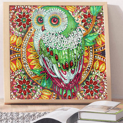 Owl - Special Shaped Drill Diamond Painting 30*30CM