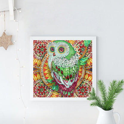 Owl - Special Shaped Drill Diamond Painting 30*30CM