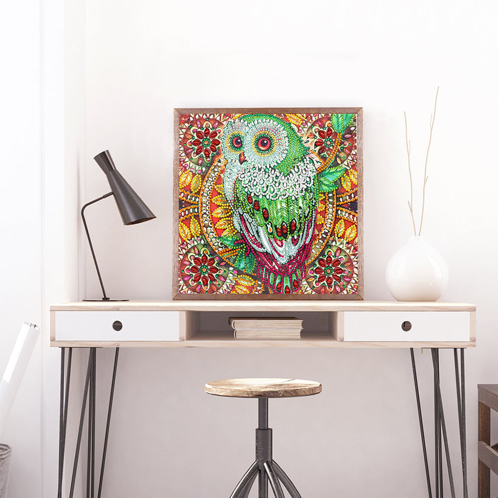 Owl - Special Shaped Drill Diamond Painting 30*30CM