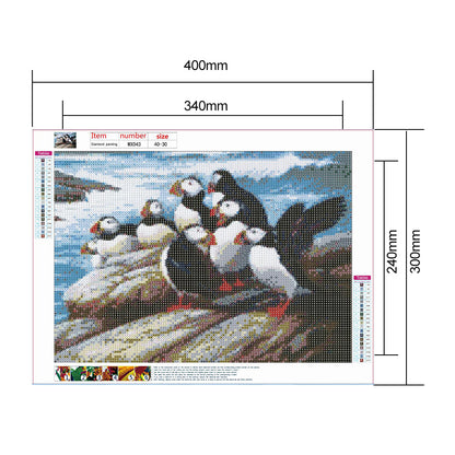 Puffin - Full Round Drill Diamond Painting 40*30CM