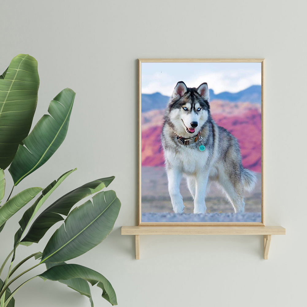 Wolf Animal - Full Round Drill Diamond Painting 30*40CM