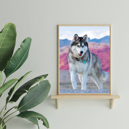 Wolf Animal - Full Round Drill Diamond Painting 30*40CM