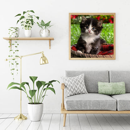 Lovely Cat - Full Round Drill Diamond Painting 30*30CM