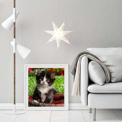 Lovely Cat - Full Round Drill Diamond Painting 30*30CM