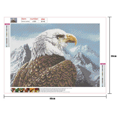 Eagle - Full Round Drill Diamond Painting 30*40CM