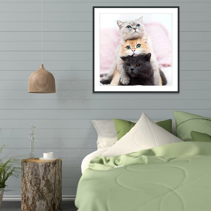 Lovely Cat - Full Round Drill Diamond Painting 30*30CM