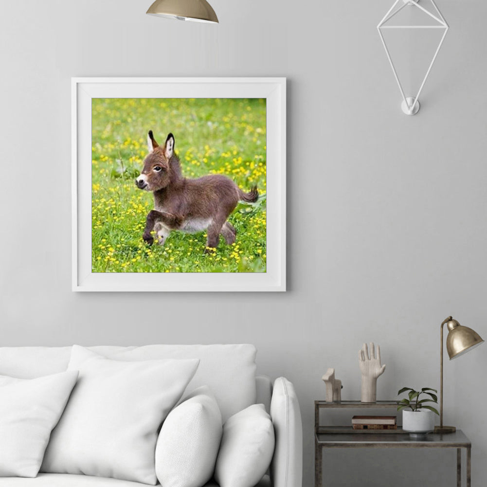 Donkey - Full Round Drill Diamond Painting 30*30CM