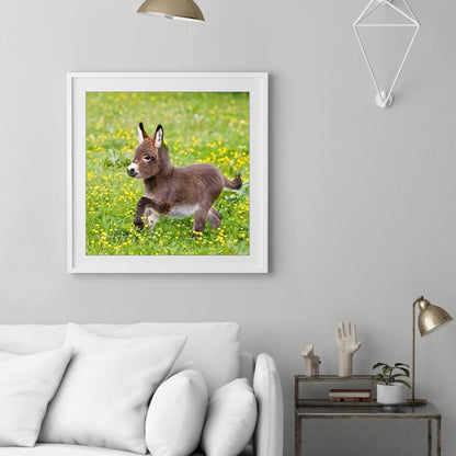 Donkey - Full Round Drill Diamond Painting 30*30CM