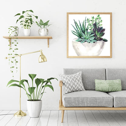 Succulent Plant - Full Round Drill Diamond Painting 30*30CM