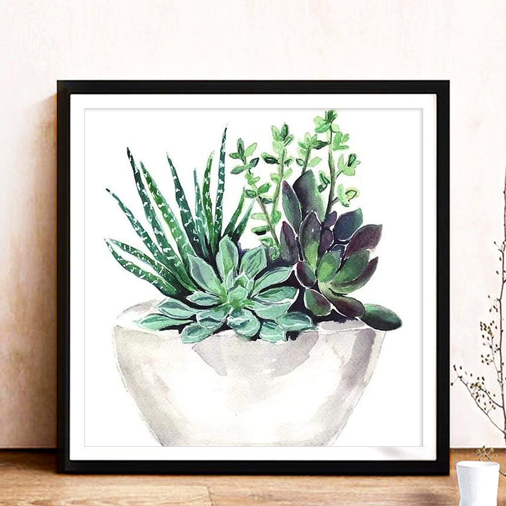 Succulent Plant - Full Round Drill Diamond Painting 30*30CM