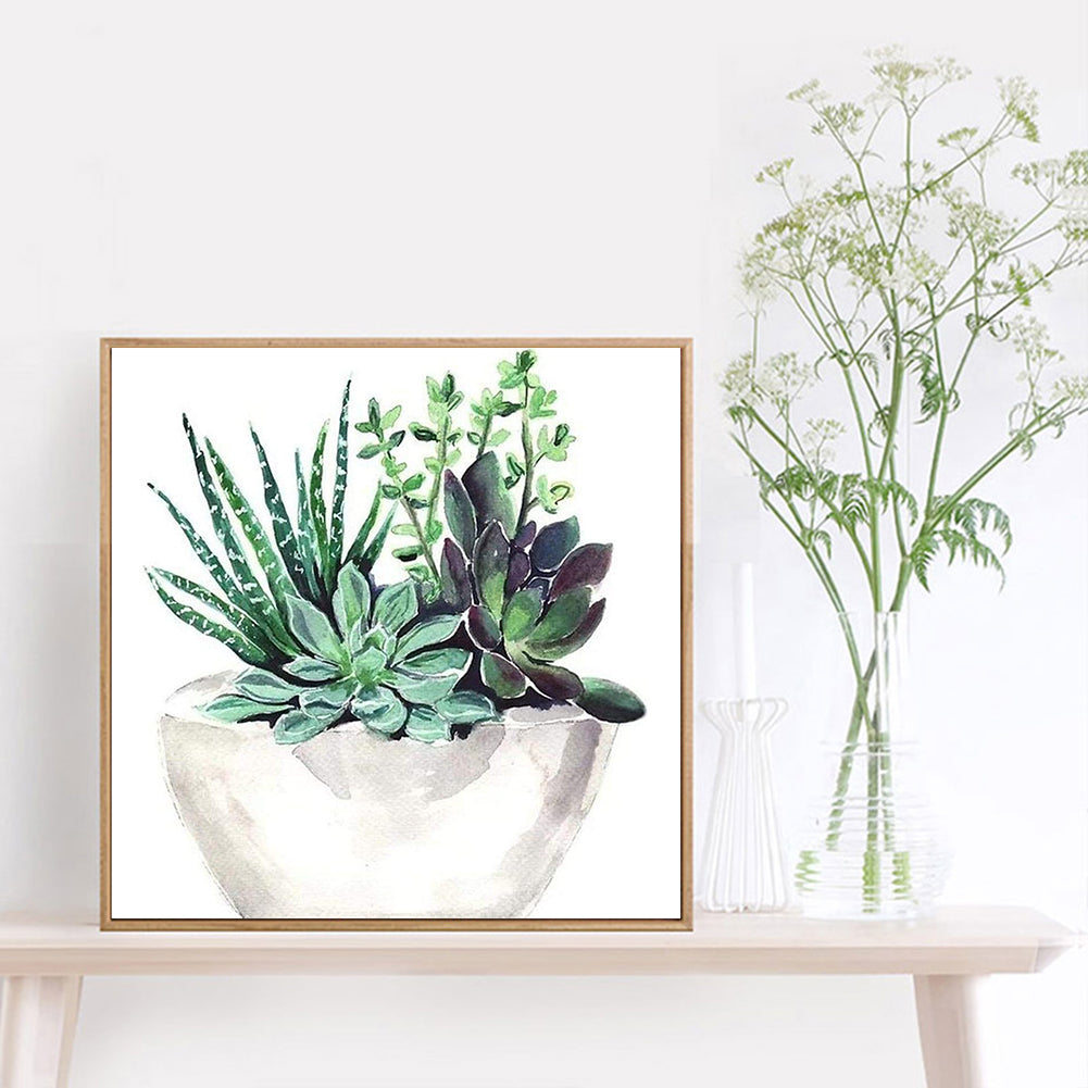 Succulent Plant - Full Round Drill Diamond Painting 30*30CM