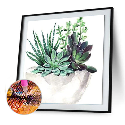 Succulent Plant - Full Round Drill Diamond Painting 30*30CM