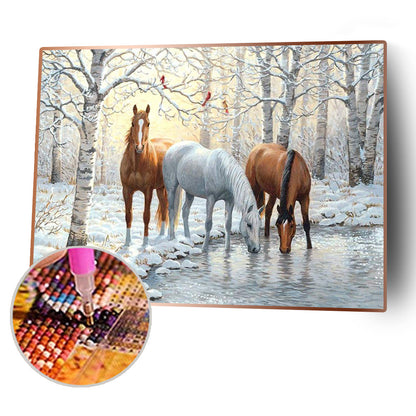 Animal - Full Square Drill Diamond Painting 50*40CM