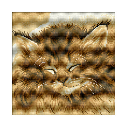Sleep Cat - 14CT Stamped Cross Stitch 22*22CM