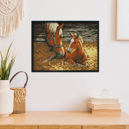 Horses - 14CT Stamped Cross Stitch 30*21CM