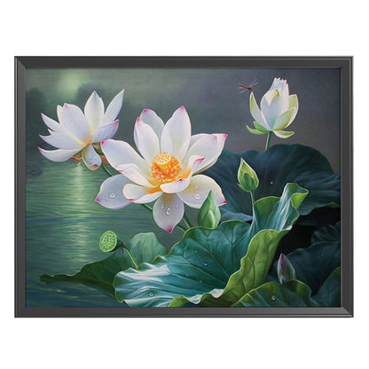 Lotus Flower - 11CT Stamped Cross Stitch 50*40CM