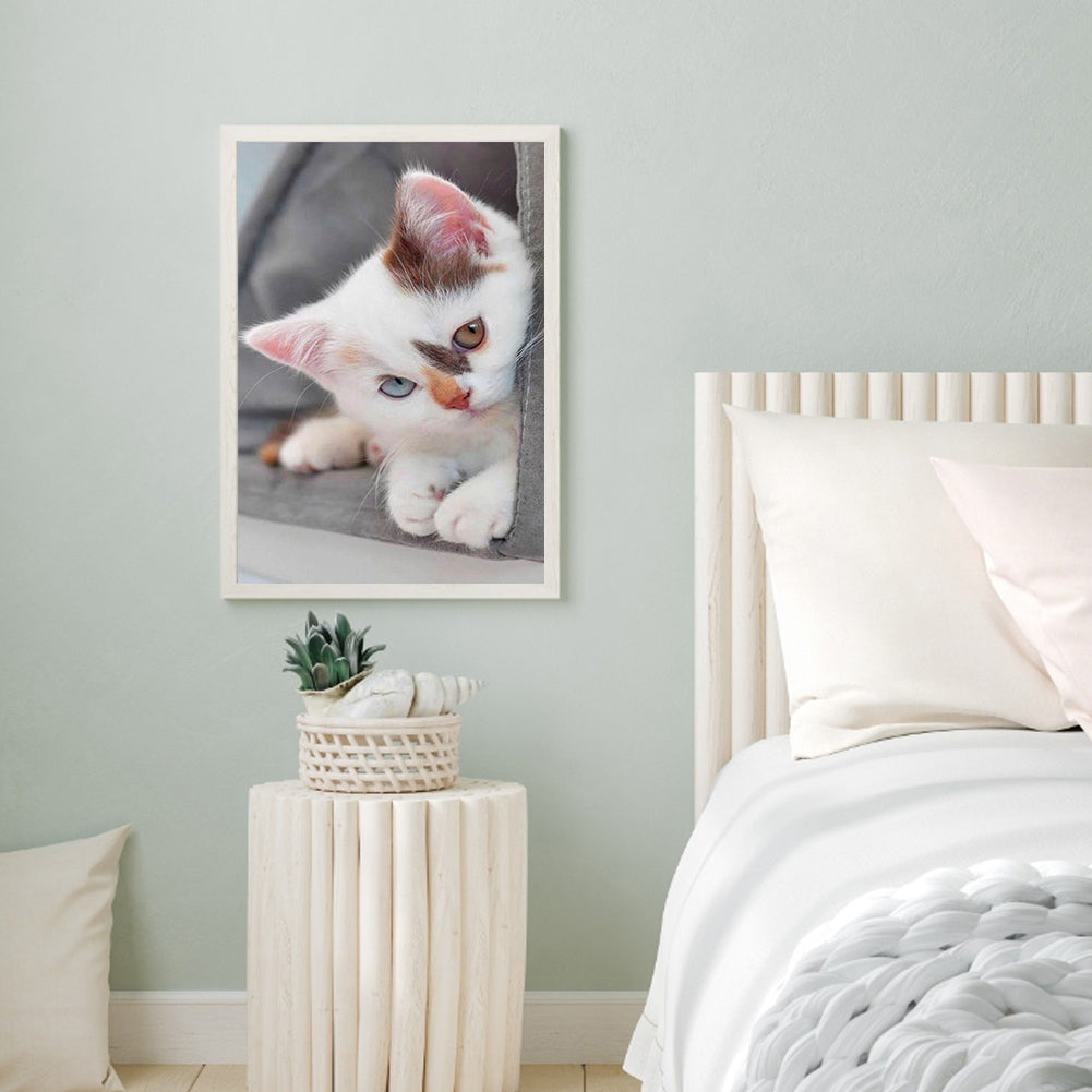 Shy Kitten - Full Round Drill Diamond Painting 30*40CM