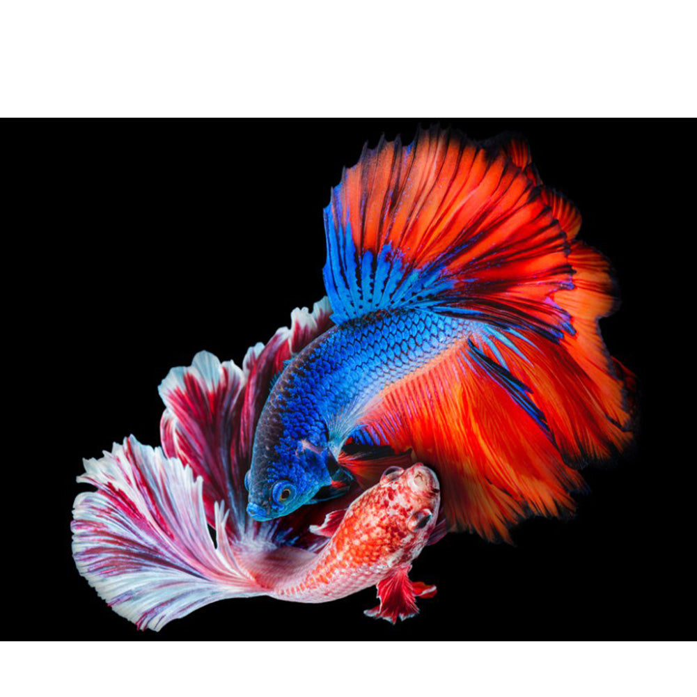 Betta Fish - Full Round Drill Diamond Painting 40*30CM