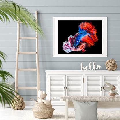 Betta Fish - Full Round Drill Diamond Painting 40*30CM