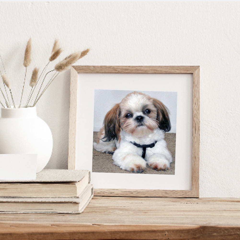 Puppy - Full Square Drill Diamond Painting 50*50CM