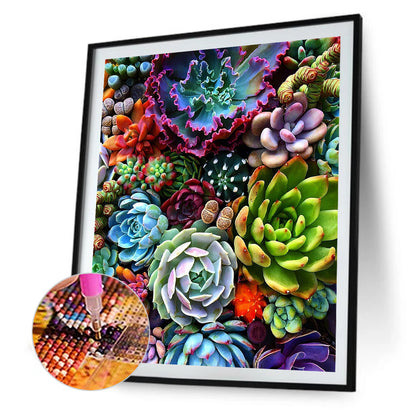 Succulent - Full Round Drill Diamond Painting 40*30CM