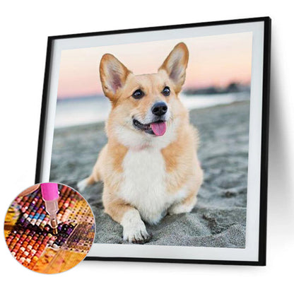 Corgi - Full Round Drill Diamond Painting 40*40CM