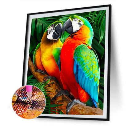 Parrot - Full Round Drill Diamond Painting 40*50CM