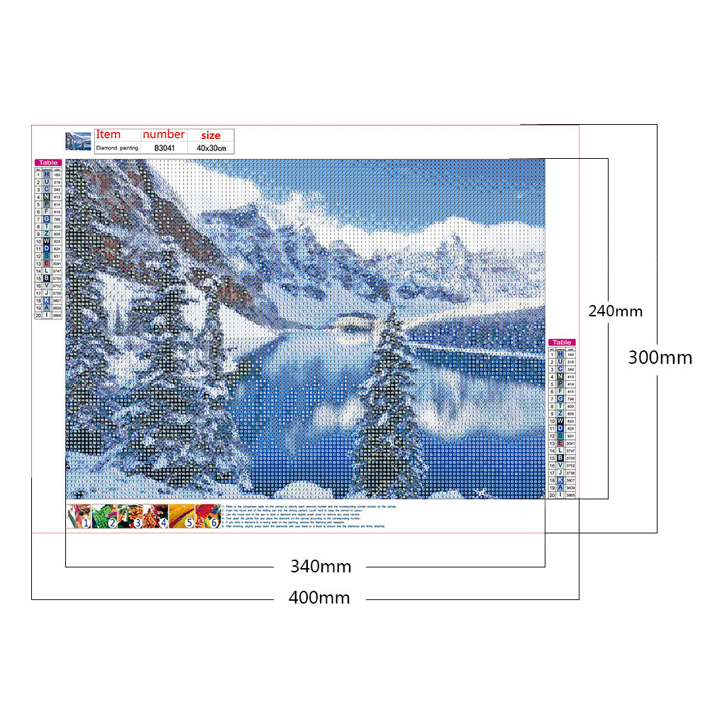 Snow Landscape - Full Round Drill Diamond Painting 40*30CM