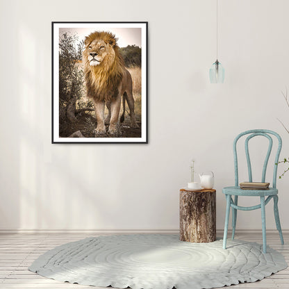 Lion - Full Square Drill Diamond Painting 30*40CM