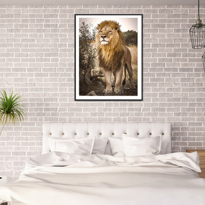 Lion - Full Square Drill Diamond Painting 30*40CM