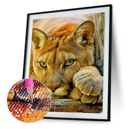 Lion - Full Round Drill Diamond Painting 40*50CM