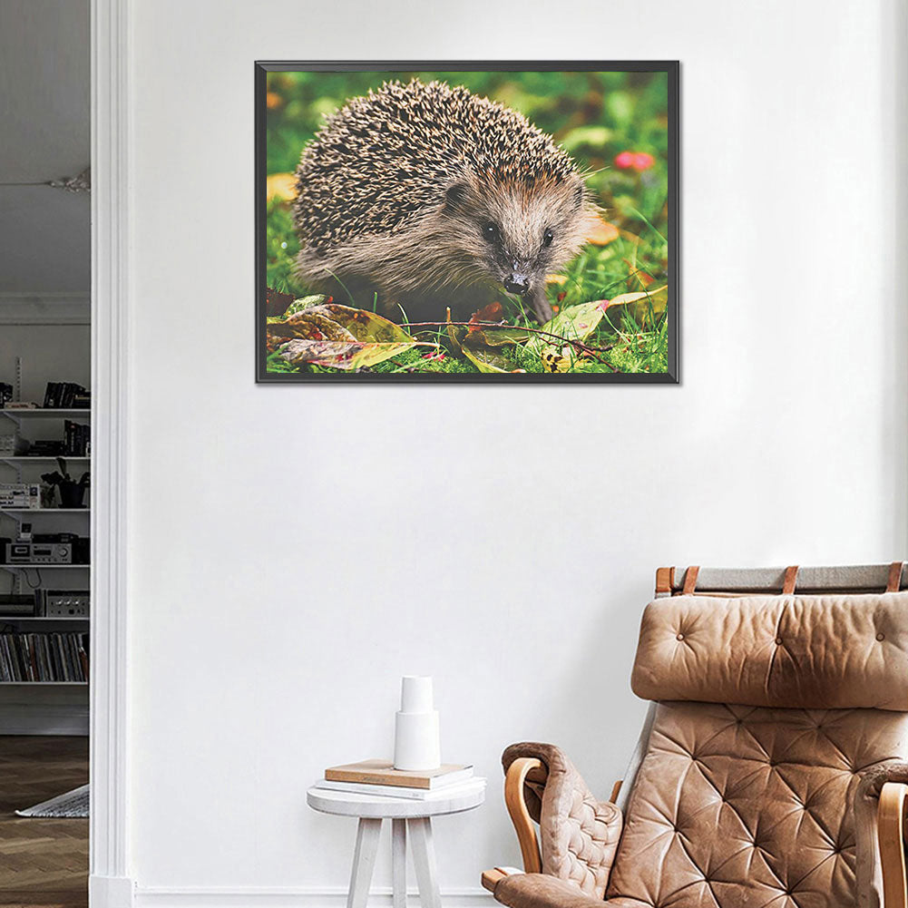 Hedgehog - Full Round Drill Diamond Painting 40*30CM