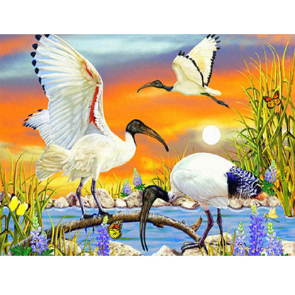 Crane - Full Round Drill Diamond Painting 40*30CM