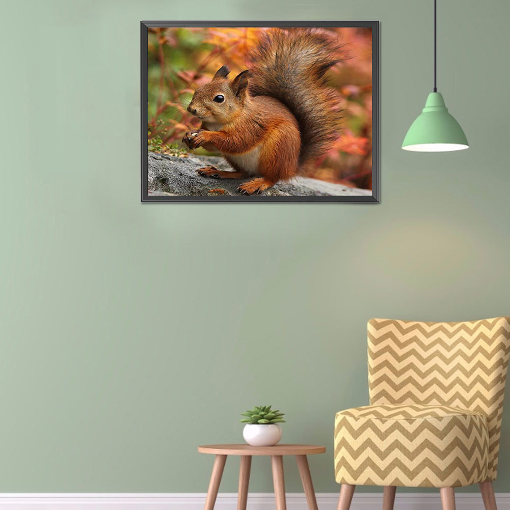 Squirrel - Full Round Drill Diamond Painting 40*30CM