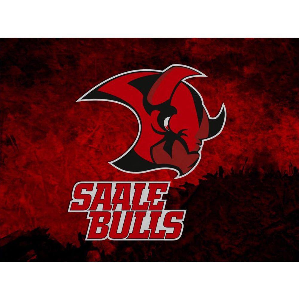 Saar Bulls Team Logo - Full Round Drill Diamond Painting 40*30CM