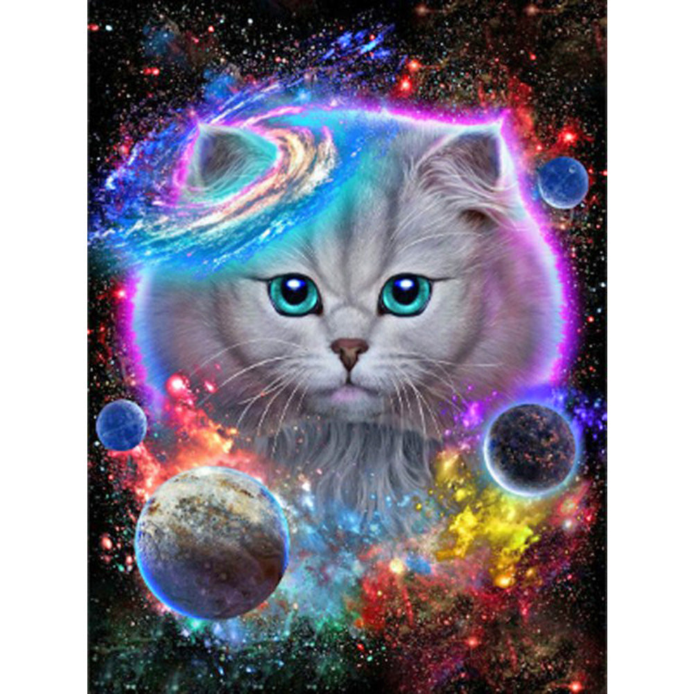 Cat In The Universe 30*40CM(Canvas) Full Round Drill Diamond Painting