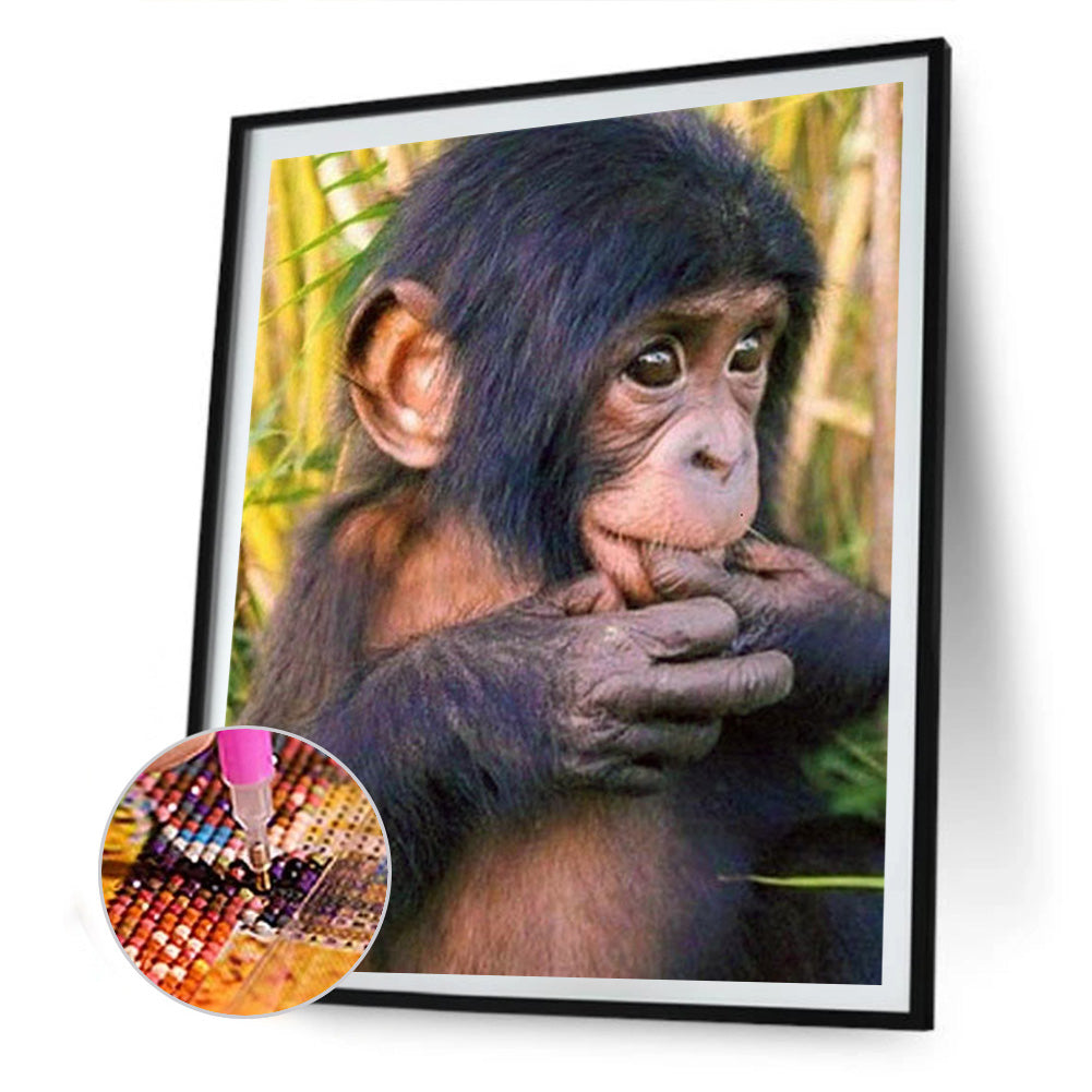 Chimpanzees 30*40CM(Canvas) Full Round Drill Diamond Painting
