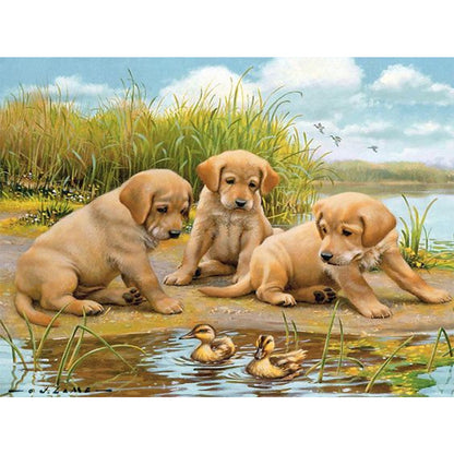 Puppy - Full Round Drill Diamond Painting 40*30CM