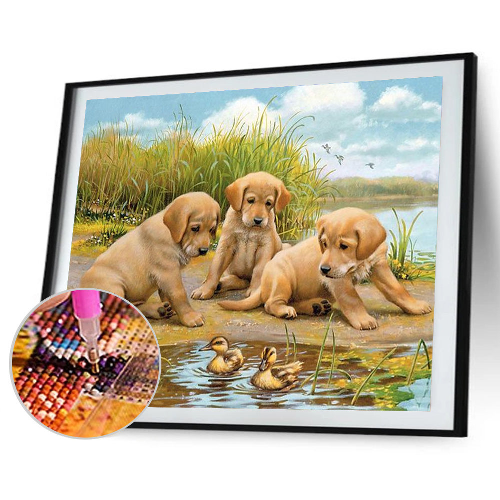 Puppy - Full Round Drill Diamond Painting 40*30CM