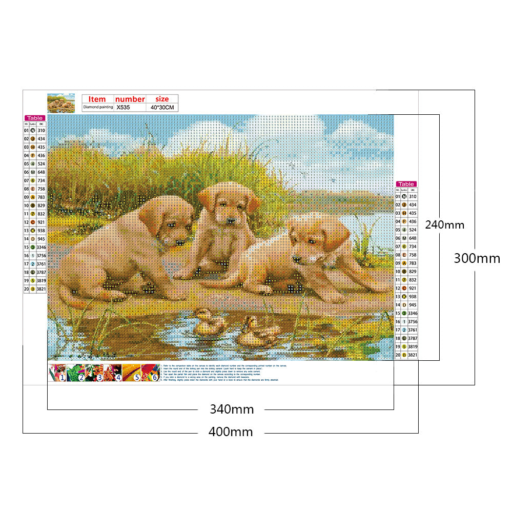 Puppy - Full Round Drill Diamond Painting 40*30CM