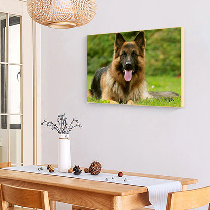 Wolf - Full Round Drill Diamond Painting 40*30CM
