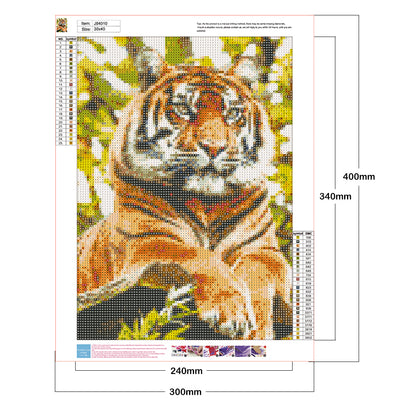 Animal - Full Round Drill Diamond Painting 30*40CM