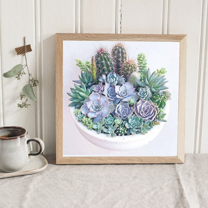 Succulents - Full Square Drill Diamond Painting 30*30CM