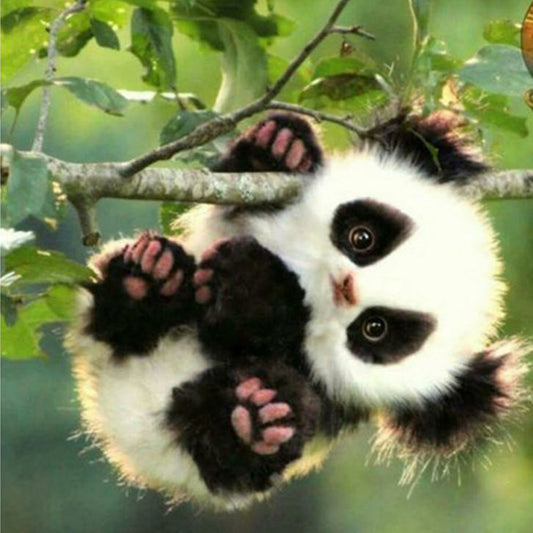 Panda - Full Round Drill Diamond Painting 40*40CM