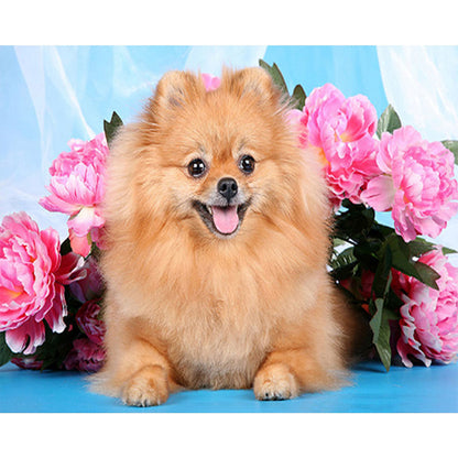Puppy - Full Round Drill Diamond Painting 40*30CM