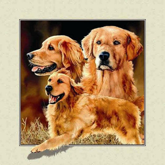 Dog Stepping Out Of Frame - Full Round Drill Diamond Painting 30*30CM