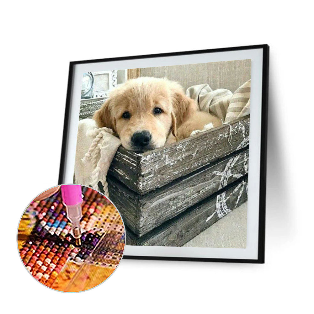 Yellow Puppy Sleeping In The Kennel - Full Round Drill Diamond Painting 40*40CM