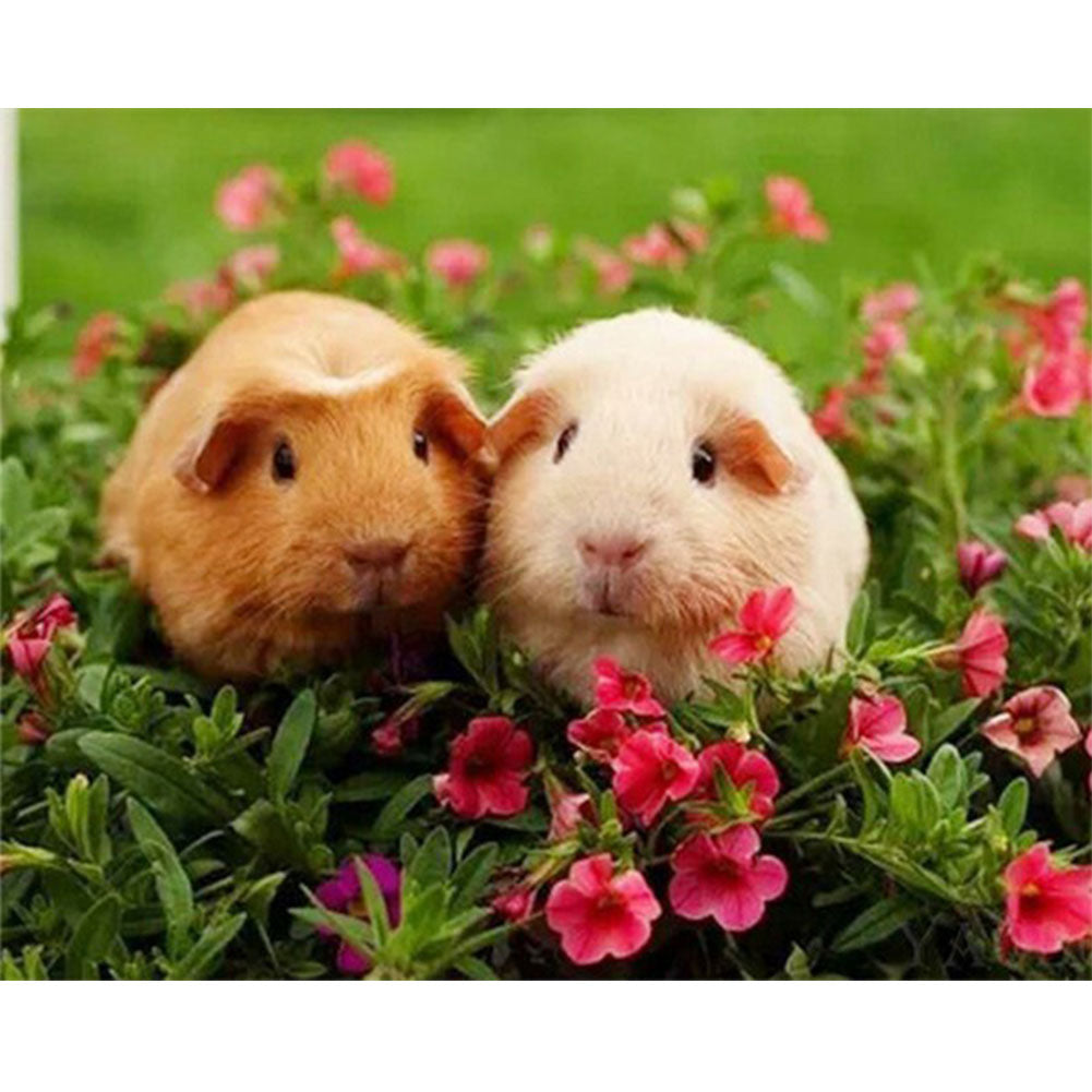 Two Guinea Pigs - Full Round Drill Diamond Painting 40*30CM