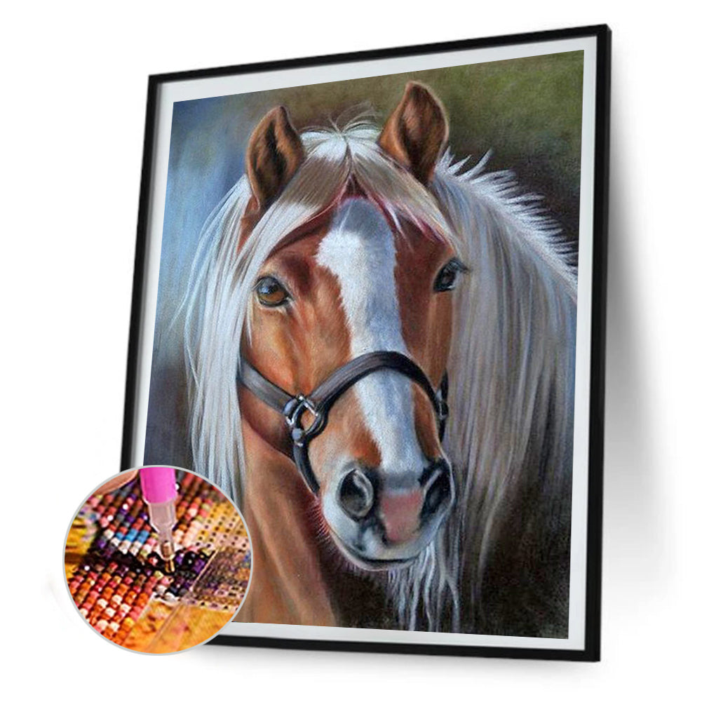 Horse - Full Round Drill Diamond Painting 40*50CM